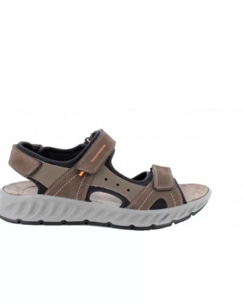 Man OTRAS MARCAS Man Sandals Sandalia Imac 353260 Dark Brown
