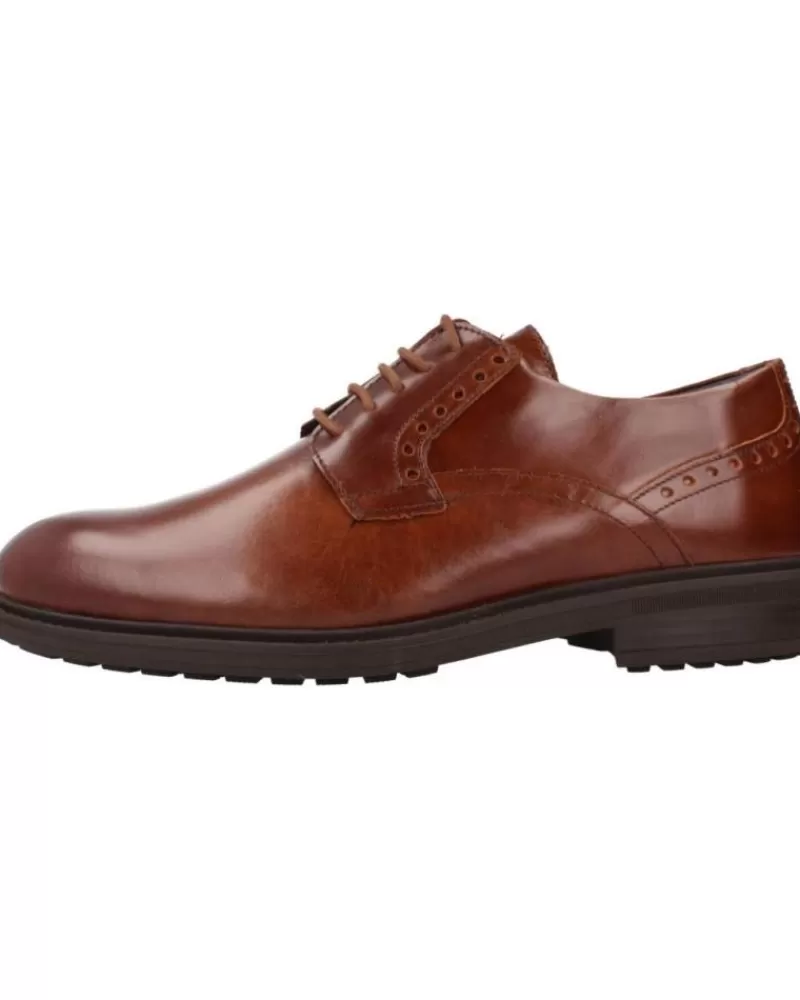 Man PITILLOS Man Shoes 4950P Marron