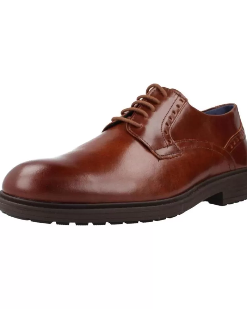 Man PITILLOS Man Shoes 4950P Marron