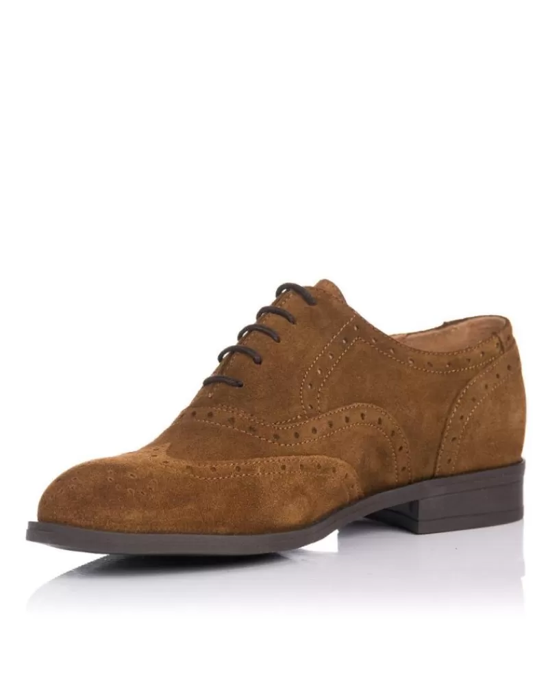 Woman ZAPP Woman Shoes Bluchers Paris Marron Marron